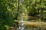 Sur les bords du Loiret